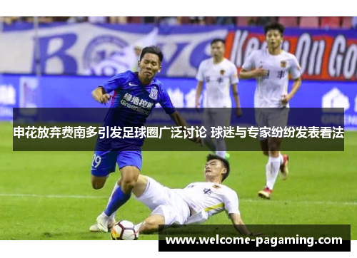 申花放弃费南多引发足球圈广泛讨论 球迷与专家纷纷发表看法