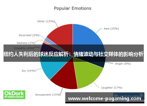 纽约人失利后的球迷反应解析：情绪波动与社交媒体的影响分析