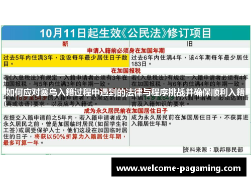 如何应对塞鸟入籍过程中遇到的法律与程序挑战并确保顺利入籍