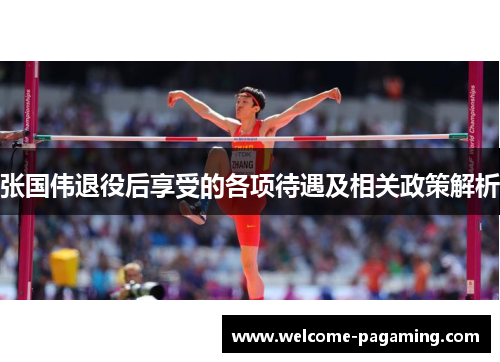张国伟退役后享受的各项待遇及相关政策解析
