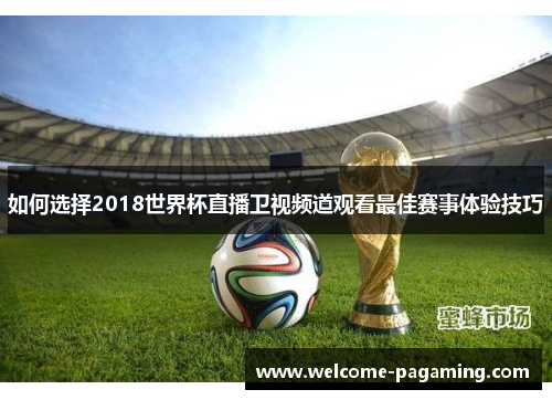 如何选择2018世界杯直播卫视频道观看最佳赛事体验技巧