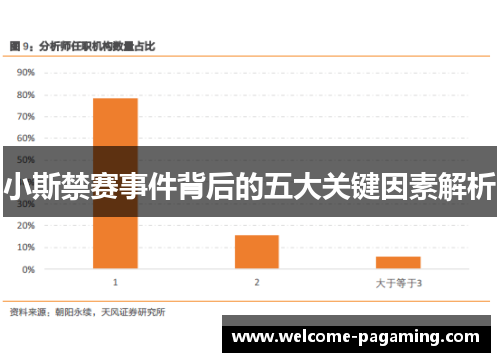 小斯禁赛事件背后的五大关键因素解析