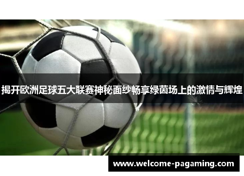 揭开欧洲足球五大联赛神秘面纱畅享绿茵场上的激情与辉煌