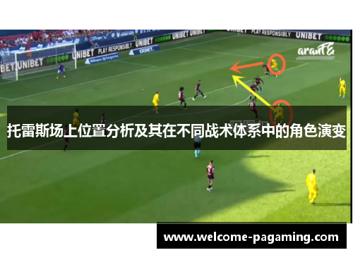 托雷斯场上位置分析及其在不同战术体系中的角色演变
