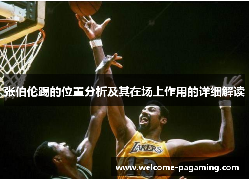 张伯伦踢的位置分析及其在场上作用的详细解读 张伯伦踢的位置分析及其在场上作用的详细解读