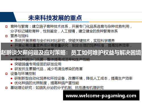 赵鹏谈欠薪问题及应对策略：员工如何维护权益与解决困境