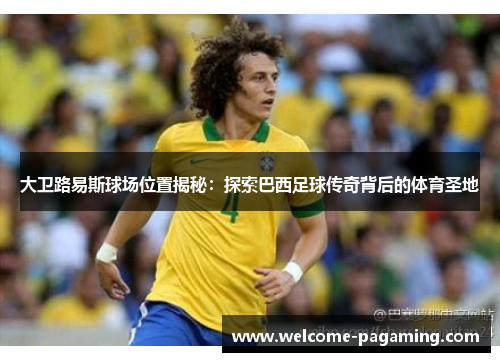 大卫路易斯球场位置揭秘:探索巴西足球传奇背后的体育圣地 大卫路易斯球场位置揭秘:探索巴西足球传奇背后的体育圣地