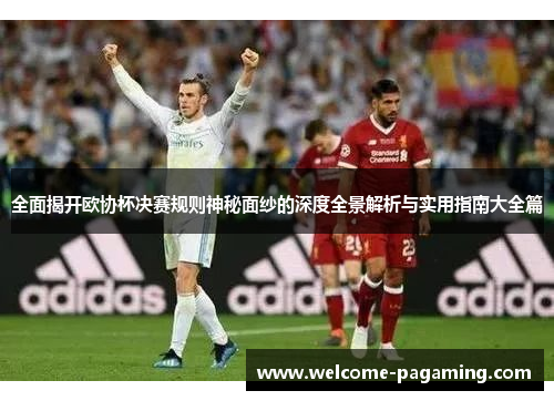 全面揭开欧协杯决赛规则神秘面纱的深度全景解析与实用指南大全篇
