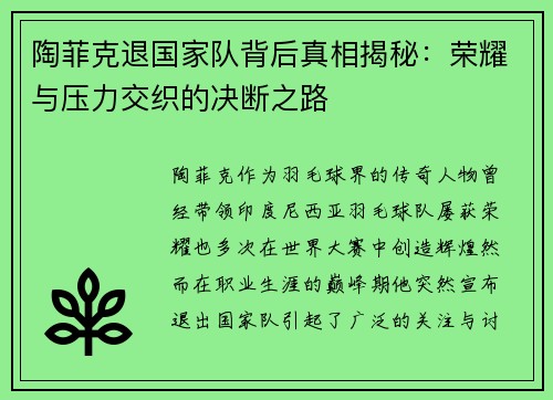 陶菲克退国家队背后真相揭秘：荣耀与压力交织的决断之路