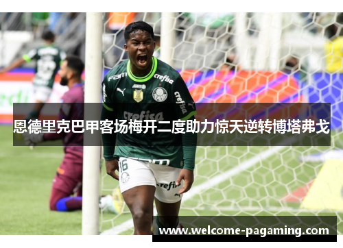 恩德里克巴甲客场梅开二度助力惊天逆转博塔弗戈 恩德里克巴甲客场梅开二度助力惊天逆转博塔弗戈