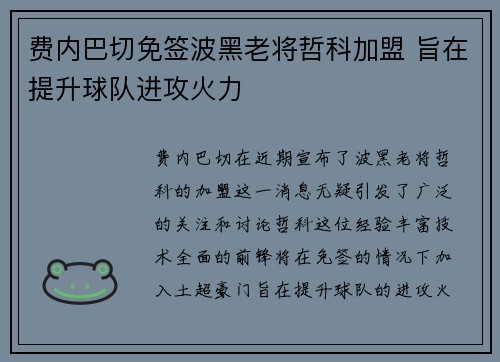 费内巴切免签波黑老将哲科加盟 旨在提升球队进攻火力